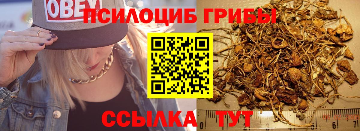Мценск  Псилоцибиновые грибы прущие грибы  Галлюциногенные грибы ЛСД  Вход с VPN 