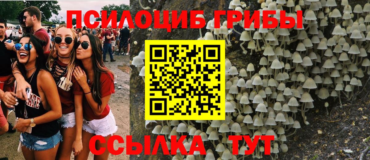 Галлюциногенные грибы мухоморы Мценск